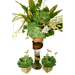 Vase arrangement