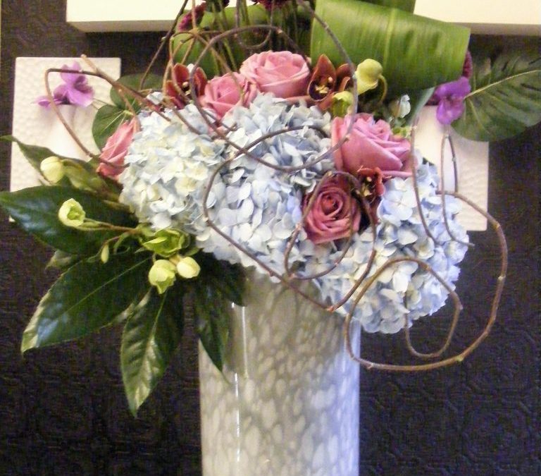 Why We Love Hydrangeas