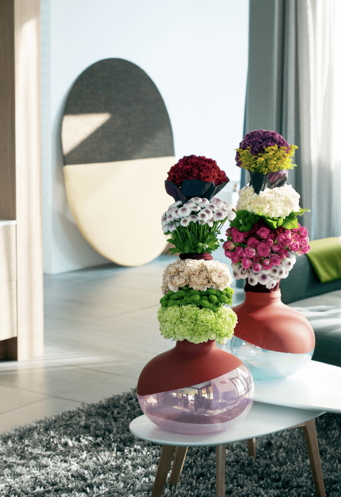 The Carnation's Origin