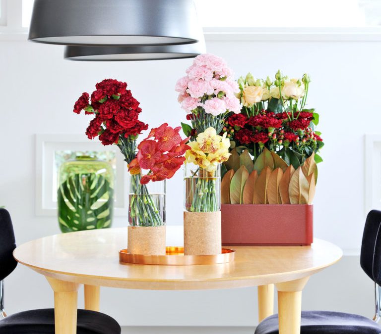 The Carnation’s Origin