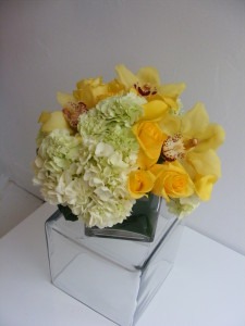 5 Best Ways to Make a Rose Bloom