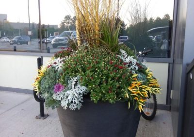 Fall Planters arrangement