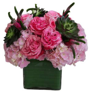 This beautiful modern luxurious pink flower arrangement. Beautiful modern flower arrangement